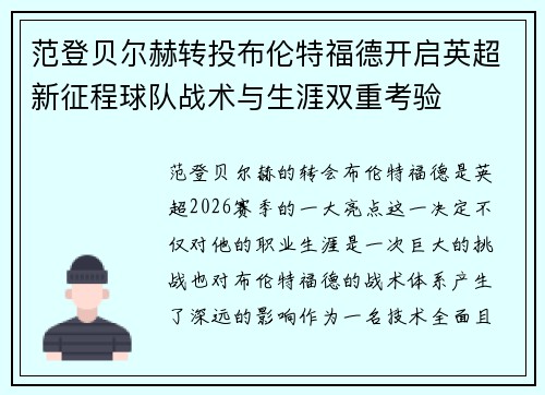 范登贝尔赫转投布伦特福德开启英超新征程球队战术与生涯双重考验